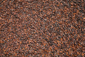 A Conversation with Steven Wallace, Founder of Omanhene - Joe Coffee Company