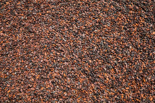 A Conversation with Steven Wallace, Founder of Omanhene - Joe Coffee Company