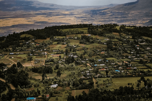 From Kenya to Ethiopia—Meet the Newest Atlas Drops - Joe Coffee Company