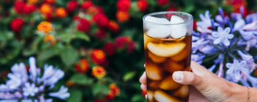 How to Make Cold Brew Coffee: Recipe & Tips - Joe Coffee Company