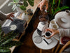 Baratza Encore Coffee Grinder - Joe Coffee Company