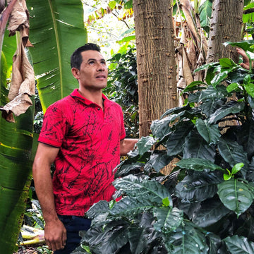 Wilmar Guarnizo Honey Process